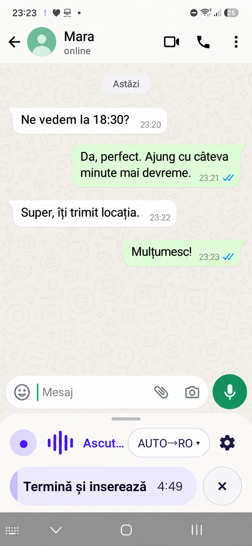 Dot Dictation — ecran aplicație